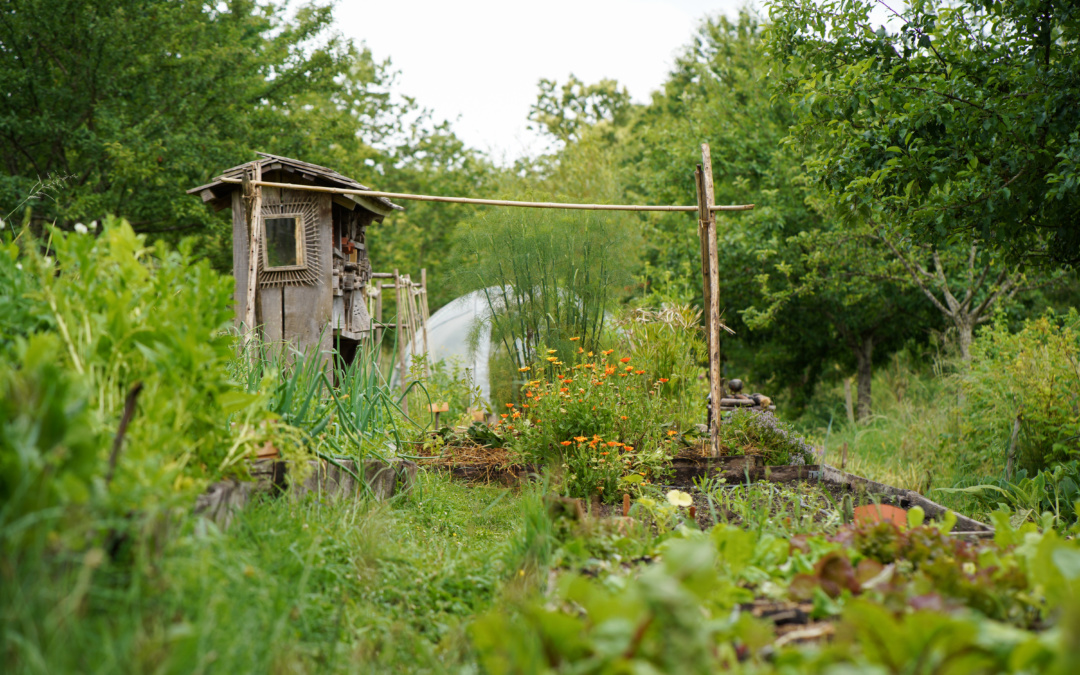 Formation en permaculture